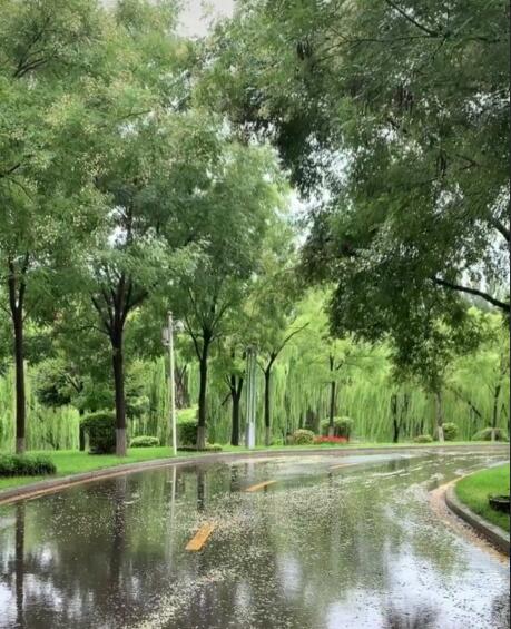 一场秋雨一场凉,一曲相思一场伤.