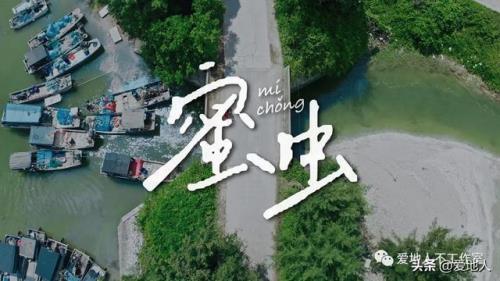 歌曲的神评论搞笑句子，关于“回春丹”新歌可能不流行的问题，我想反驳一下……