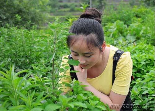 聊妹的套路情话，那些令人腿软的套路小情话